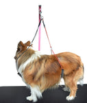 Adjustable 36” Grooming Arm with Clamp and Dog Grooming Loop with Small/Medium Haunch Holder